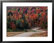 Central Vermont In The Fall, Usa by Charles Sleicher Limited Edition Print