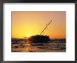 Sailboat Wrecked By Hurricane On Kona, Usa by Casey Mahaney Limited Edition Print