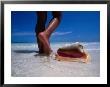 Female Feet And Conch Shell On A Pink Sand Beach, Pink Sands Beach, Harbour Island, Bahamas by Greg Johnston Limited Edition Print