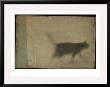 Blurred Cat Walking by Mia Friedrich Limited Edition Pricing Art Print