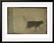 Blurred Cat Walking by Mia Friedrich Limited Edition Print