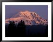 Sunrise View From The Camas Prairie, Mount Adams, Washington, Usa by Jamie & Judy Wild Limited Edition Print