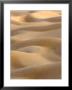 Abstract Of Sand Dunes At Sunset, Thar Desert, Jaisalmer, Rajasthan, India by Philip Kramer Limited Edition Print