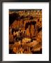 Sunrise Amphitheatre In Bryce Canyon National Park, Utah, Usa by William Sutton Limited Edition Print