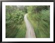 A Bike Path In The Apostle Islands by Raymond Gehman Limited Edition Print