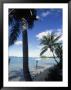 Key Biscayne, Miami, Fl by Mark Gibson Limited Edition Print