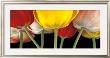 Sunshine Tulips by Assaf Frank Limited Edition Print