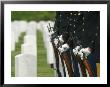 Gravestones And Honor Guard by Skip Brown Limited Edition Print