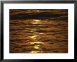 Sunset-Reflected Water At La Paz, Mexico by Raul Touzon Limited Edition Print