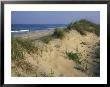 The Atlantic Ocean Rolls In Along The Dunes At Avon by Stephen Alvarez Limited Edition Print
