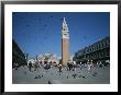 Saint Marks Square And Its Famous Pigeons by Taylor S. Kennedy Limited Edition Print