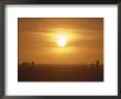 The Setting Sun Casts A Hazy Orange Glow Over The Sahara Desert by Peter Carsten Limited Edition Pricing Art Print