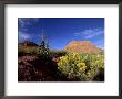 Desert Landscape With Rock Formations And Wildflowers by Raul Touzon Limited Edition Pricing Art Print