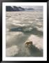 A Polar Bear Walks Across The Pack Ice Of Svalbard Archipelago by Ralph Lee Hopkins Limited Edition Pricing Art Print