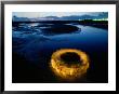 A Discarded Tire Glowing Like Neon In The Marsh by Raymond Gehman Limited Edition Print