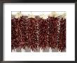 Red Peppers Hung Up To Dry, New Mexico by Joel Sartore Limited Edition Pricing Art Print