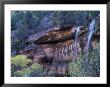 Middle Emerald Pool Stream With Cottonwood Leaves, Zion National Park, Utah, Usa by Jamie & Judy Wild Limited Edition Pricing Art Print