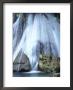 Boy At Reach Falls Near Muirton, Jamaica by Holger Leue Limited Edition Print