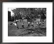 Uniformed Drum Major For University Of Michigan Marching Band Practicing His High Kicking Prance by Alfred Eisenstaedt Limited Edition Print