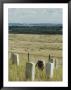 Site Of Massacre, Including Where Custer Fell, Little Big Horn, Montana, Usa by Ethel Davies Limited Edition Print