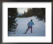 A Cross-Country Skier On A Ski Trail In Yellowstone National Park by Raymond Gehman Limited Edition Print