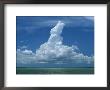 Cumulus Clouds Over Florida Bay by Wolcott Henry Limited Edition Print