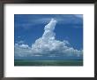 Cumulus Clouds Over Florida Bay by Wolcott Henry Limited Edition Pricing Art Print