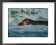 Hippopotamus Swimming In The Atlantic Off Of Gabons Coast by Michael Nichols Limited Edition Print