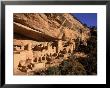 Ruins Of The Anasazi Cliff Palace Occupied Between A.D. 550 And 1300 by Ira Block Limited Edition Print