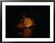 A Male Lion Drinks From A Pool Of Water At Night by Beverly Joubert Limited Edition Print