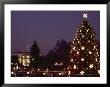 Night View Of The Lighted Tree In Front Of The White House by Kenneth Garrett Limited Edition Print