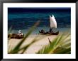 Fishing Boats, Lokobe Reserve, Madagascar by Tom Cockrem Limited Edition Print