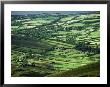 View Towards Lough Derg From Arra Mountains, County Clare, Munster, Republic Of Ireland (Eire) by Adam Woolfitt Limited Edition Print