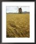 A Windmill Stands In A Field Of Grain by Bill Curtsinger Limited Edition Print