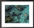 In Shimmering Waters, A Snorkeler Explores Boulder-Strewn Shallows by Ira Block Limited Edition Print