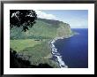 Cliffs And Coast At Entrance To Waipi'o Valley, Big Island, Hawaii, Usa by John & Lisa Merrill Limited Edition Pricing Art Print