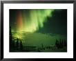 The Aurora Borealis Shimmers In The Night Sky by Norbert Rosing Limited Edition Pricing Art Print