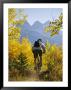 Cyclist Biking Through Trees With Autumn Foliage by Mark Cosslett Limited Edition Pricing Art Print
