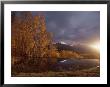 Autumn Landscape Near Telluride, Colorado by Annie Griffiths Belt Limited Edition Print