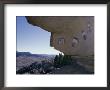 Pictographs On Rock Wall, Zuni Reservation, New Mexico by David Edwards Limited Edition Print