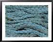 Close View Of Blue Nautical Ropes by Todd Gipstein Limited Edition Print