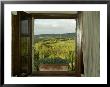Window Looking Out Across Vineyards Of The Chianti Region, Tuscany, Italy by Todd Gipstein Limited Edition Print