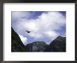 A Condor Flying Through The Mountains by Pablo Sandor Limited Edition Pricing Art Print