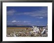 Drolma-La (Mani Pile) By Lake Manasarovar, Tibet by Keren Su Limited Edition Print