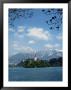 Lake Bled, Slovenia by Adina Tovy Limited Edition Pricing Art Print