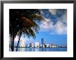Skyline From Rickenbacker Causeway, Miami, Florida by Witold Skrypczak Limited Edition Print