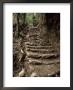 Steps On The Inca Trail, Peru, South America by Rob Cousins Limited Edition Print