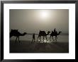 Camels On The Beach, Essaouira, Morocco, North Africa, Africa by Ethel Davies Limited Edition Pricing Art Print