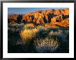 View Into Snow Canyon At Sunrise, Snow Canyon State Park, Utah, Usa by Scott T. Smith Limited Edition Print