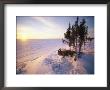 Sunset View Of Wapusk National Park by Norbert Rosing Limited Edition Print